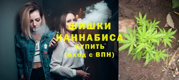 метадон Вяземский