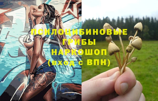 тгк Вязники